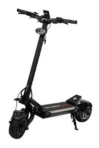 All Electric Scooters: Fighter 11+