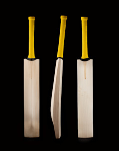 FREEDOM GT PLAYERS Bat