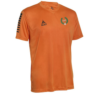 SAR AFC Junior Tee Shirt 2025/26