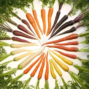 Products: Women's VEGETARIAN Fat Burning Meal Plan Add-Ons - Fat Burning Ninjas