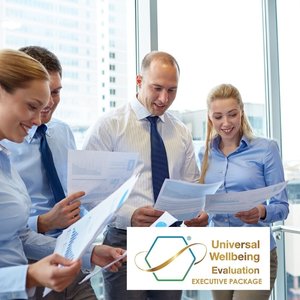 Confidential Executive Wellbeing Evaluation Package - Tailored for Leaders - FRE&hellip;