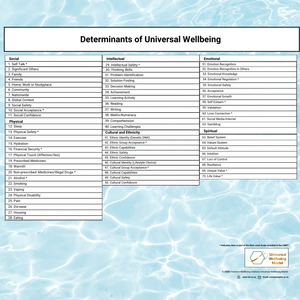 Universal Wellbeing Model Variables Poster - Holistic Wellness Framework - FREED&hellip;