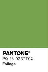 Foliage Green Shorts (2-14 years)