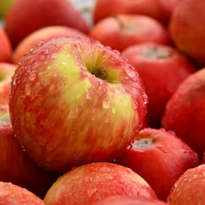 Fresh Fruit: Seasonal Apples