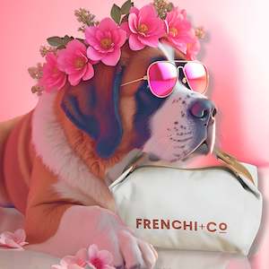 Home Page Collection: THE POOCH PACK   |   Groom-To-Go Canvas BAG