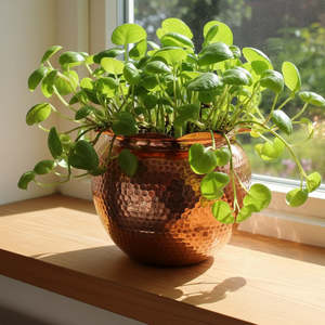 Vintage Copper Plant Pot