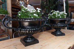 Beautiful 19th Century French Cast Iron Urns ~Black
