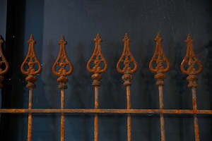 19th Century French Iron Gate