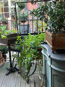 Shop Gorgeousness Garden ~ 1