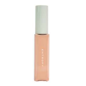 [ENTROPY] ORGANZA FIT SPATULA FOUNDATION #22.8