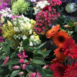 Products: Florist Choice Bouquet - Fresh Flowers Kaitaia