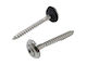 Spengler Screws 9087 Tx20