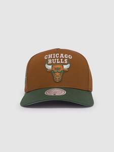Mitchell Ness: Mitchell&Ness Stoop Pro Bulls Tan/Green MNCG24226