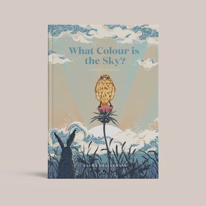 Products: What Colour is the Sky - Laura Shallcrass
