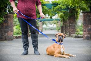 Leashes: Lead - 210cm