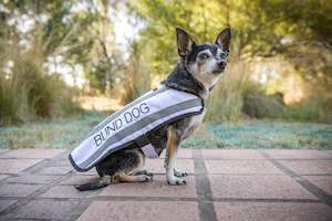 Coats: Coat - Medium