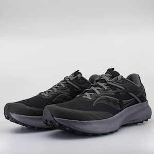 Saucony Ride 15 TR (D Standard) Mens