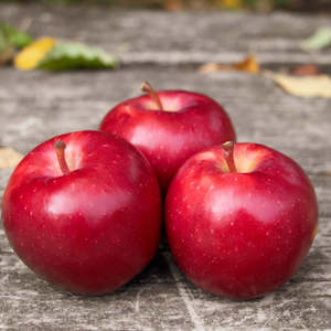 Apples: Apples Dazzle NZ Large