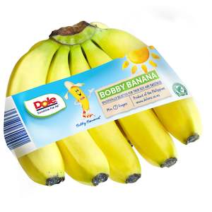 Banana Bobby Philippine Bunch