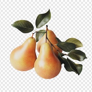 Pipfruit: Pears Golden Sun