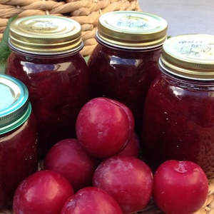 Plums Angelino 700gm Bag NZ