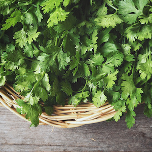 Herbs: Coriander bunch each NZ