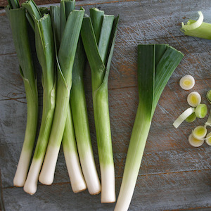 Leeks NZ