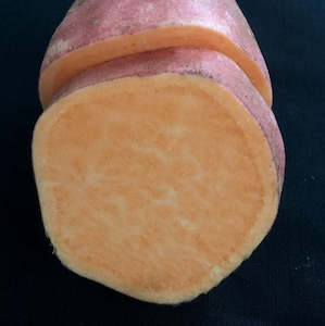 Kumara Beuregard ( Orange Kumara) NZ*