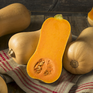Pumpkins Squash: Pumpkin Butternut NZ Small