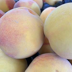 Peacharines Bag of 5 NZ