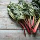 Rhubarb 350gm Tray NZ*