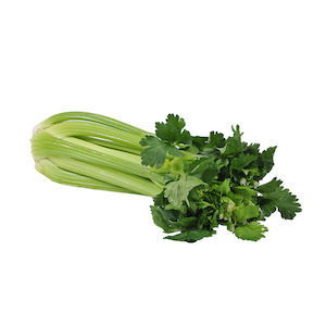 Celery 1: Celery Large Each NZ