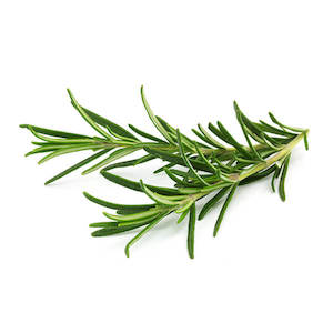 Rosemary 1: Rosemary Fresh Tray NZ*