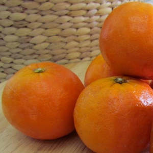 Citrus: Tangelos NZ*