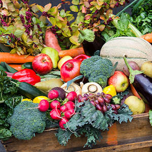 Vegetables: Big Vege Popular Hero's Pack