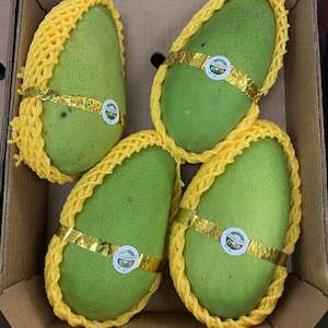 Mangoes Vietnam Each