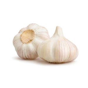 Garlic Bulb USA*