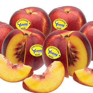 Nectarines Yellow Hunny NZ