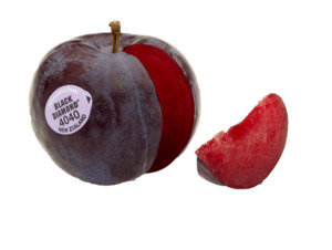 Plum Black Diamond NZ*