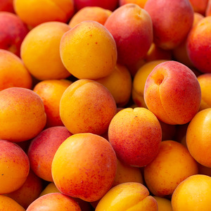 Apricots NZ*
