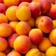 Apricots 700gm Bag NZ*