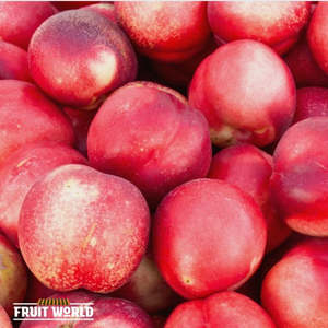 Nectarines White Large NZ*