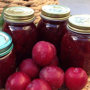 Summer Fruit: Plums Angelino 700gm Bag NZ