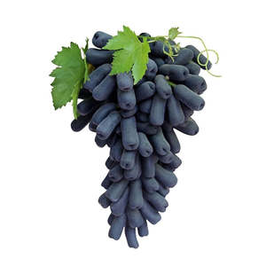 Grapes 1: Grapes Moon Drop Black USA kg