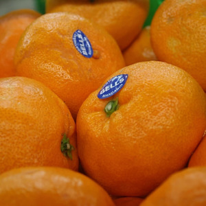 Mandarins Satsuma 800gm Bag NZ