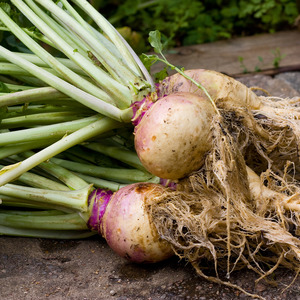 Vegetables: Swede NZ*