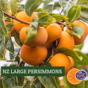 Persimmons NZ per Kg