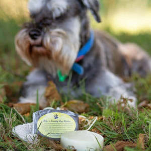 Products: Itchy N Scratchy Shampoo Bar for Dogs - Full Circle Eco