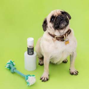 Products: Raw Nature Dog Skin Paw Balm Full Circle Eco