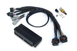 Subaru: Haltech Nexus S2/S3 Plug 'n' Play Adapter Harness - Subaru WRX MY99-00 - HT-186335